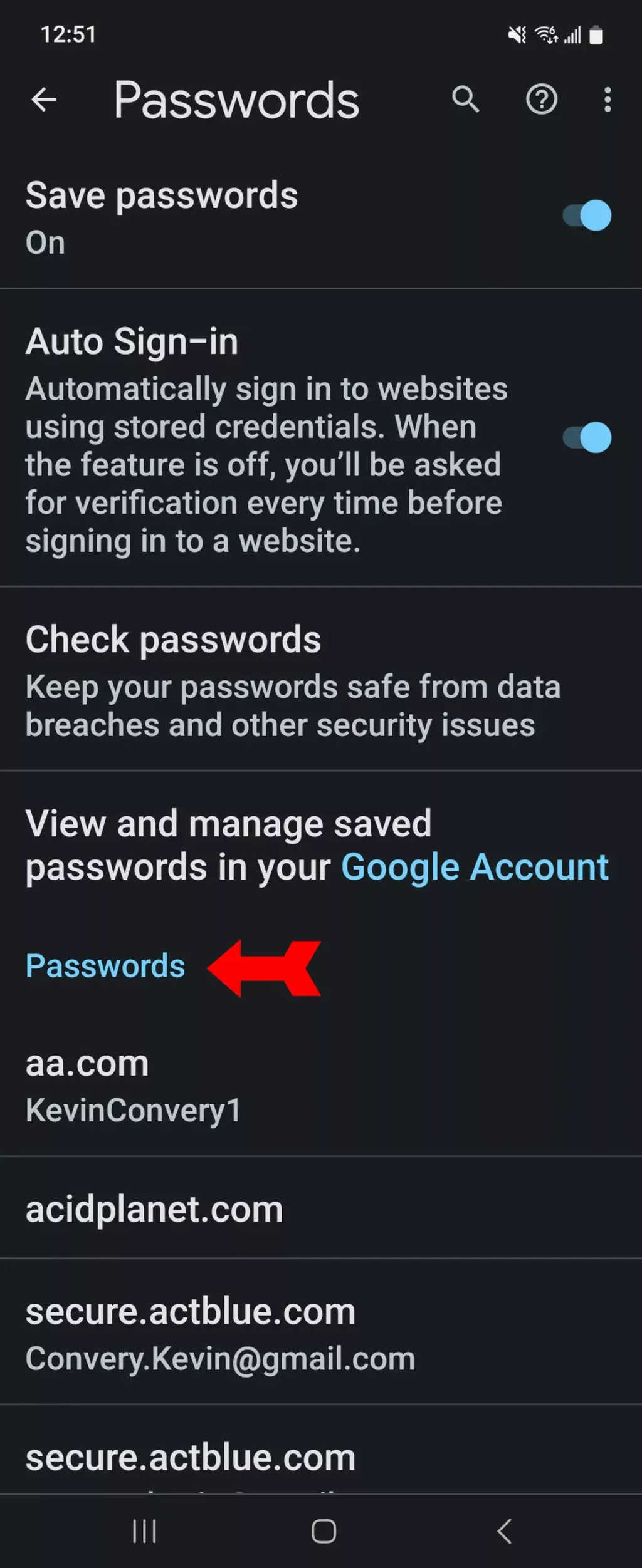 Saved-Passwords-Passwords-Page-1000w-2444h.jpg.webp