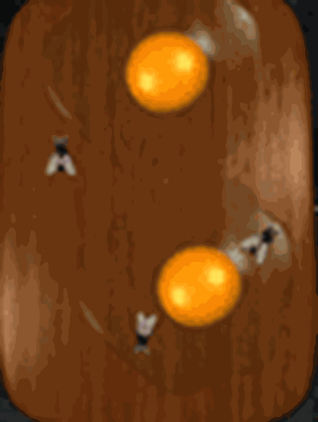 Egg Runner؛ بازی جدید آیفون