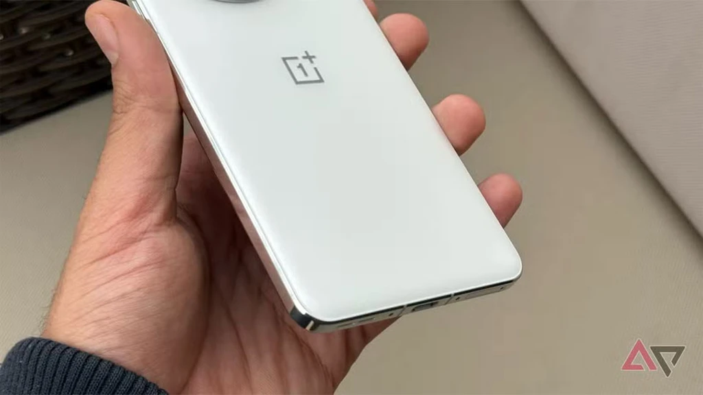 OnePlus 13