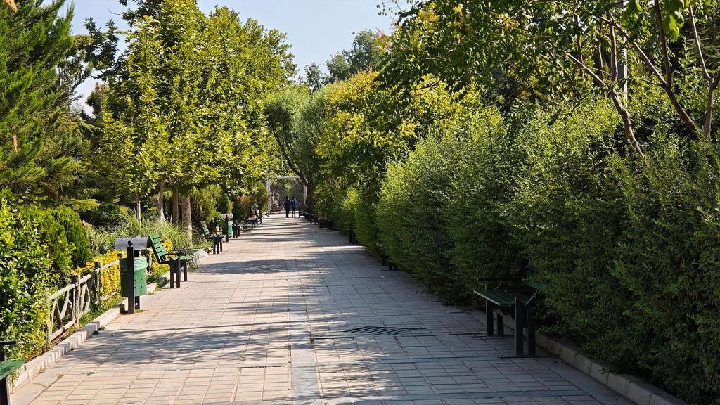 نمونه عکس شیائومی ۱۵ - دوربین تلهفوتو ۱