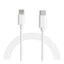 کابل شارژ 1 متری USB-C به لایتنینگ اپل مدل A2561