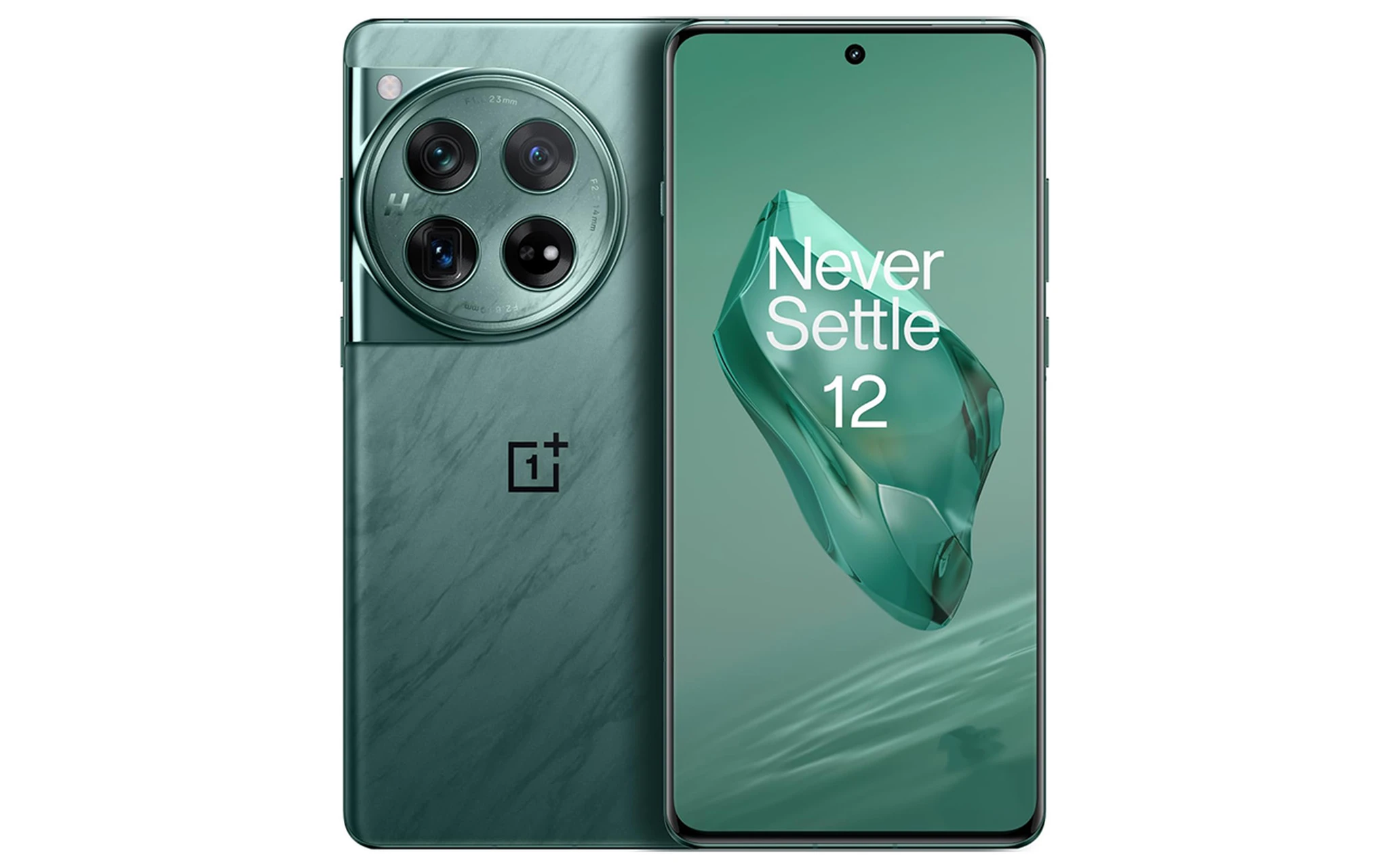 oneplus 12.jpg