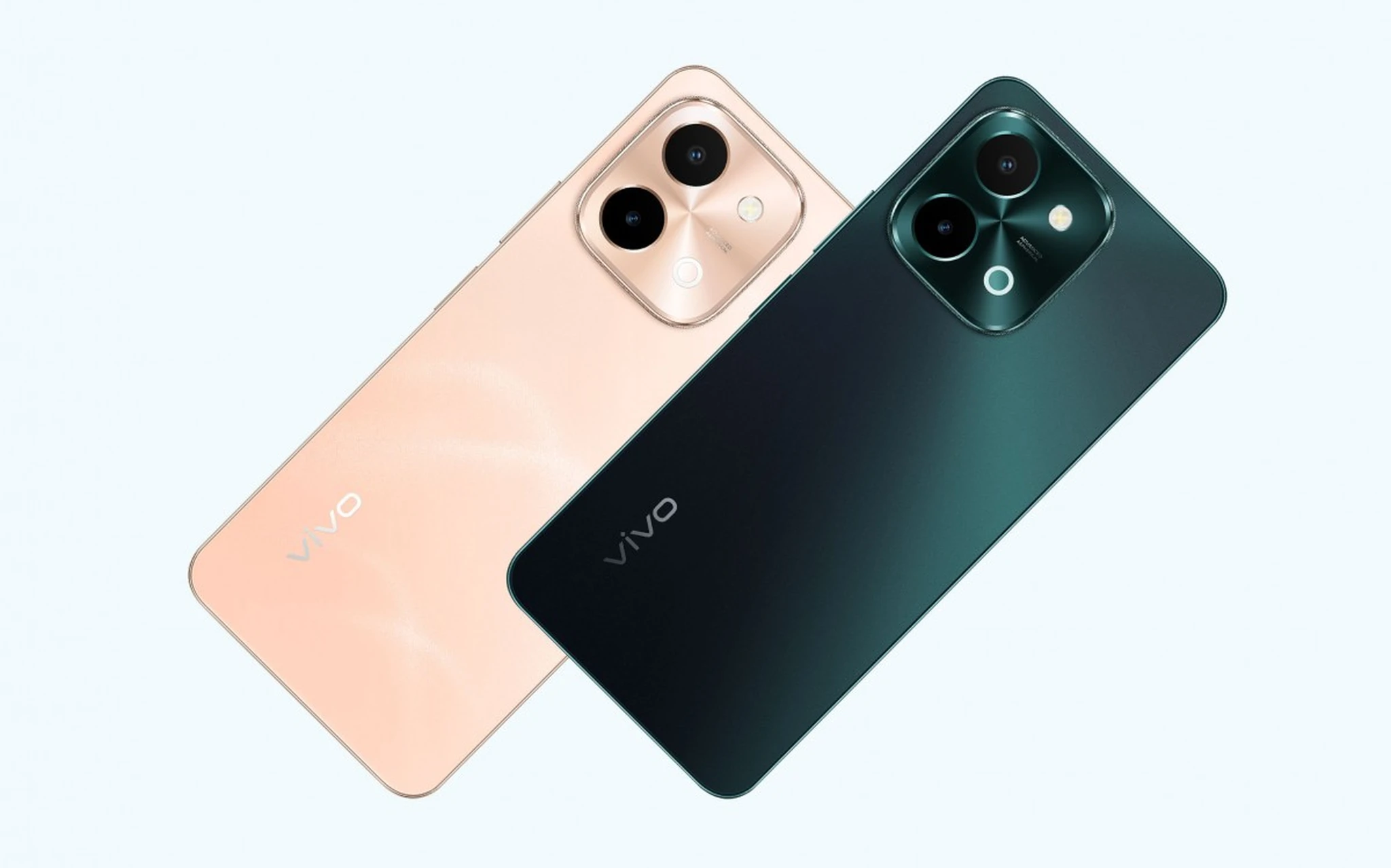 vivo 1.jpg