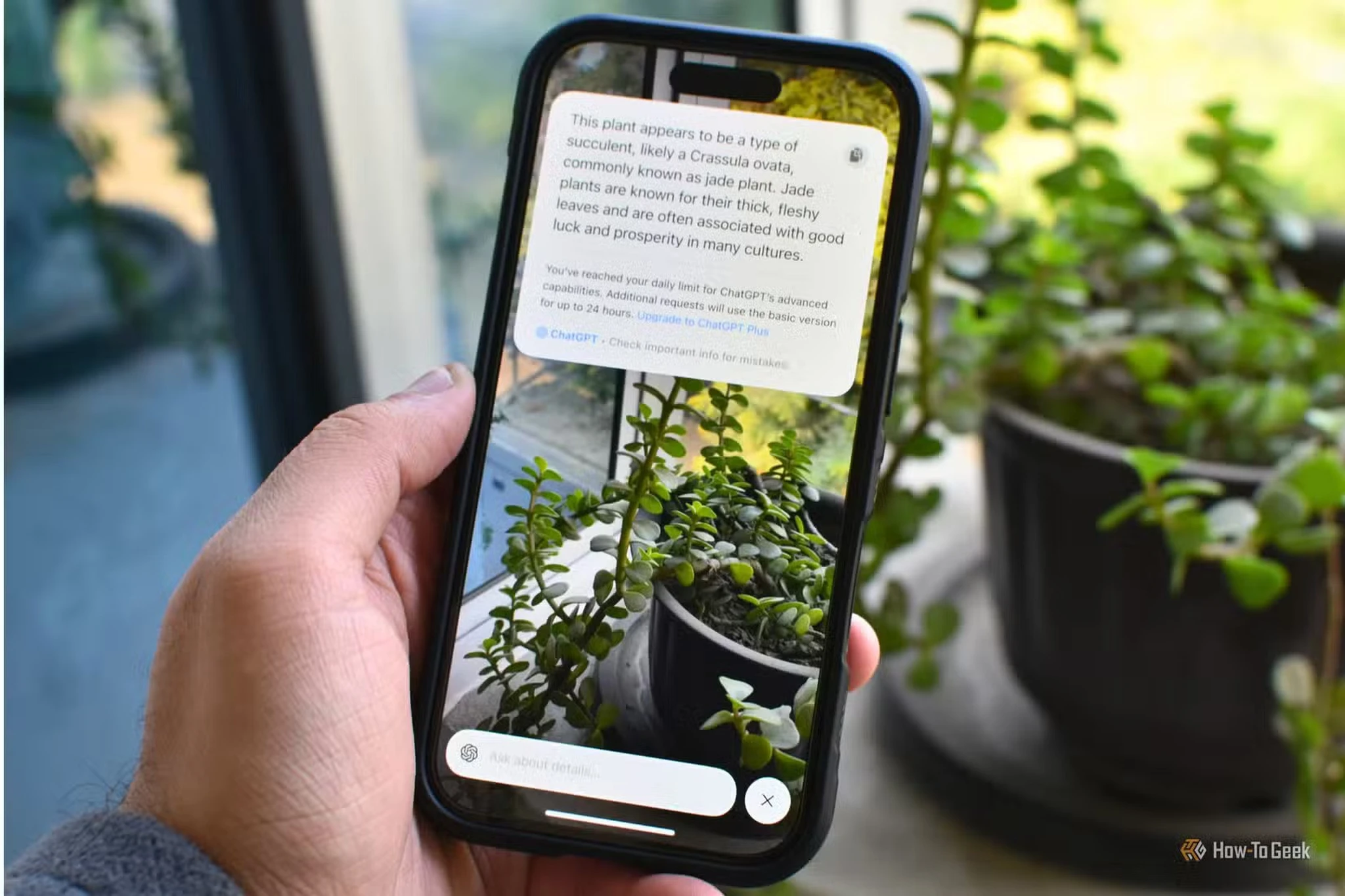 Apple Intelligence