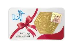 سکه پارسیان 18 عیار آپادانا 500 سوتی