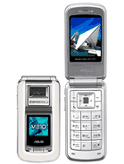 ایسوس ام 310